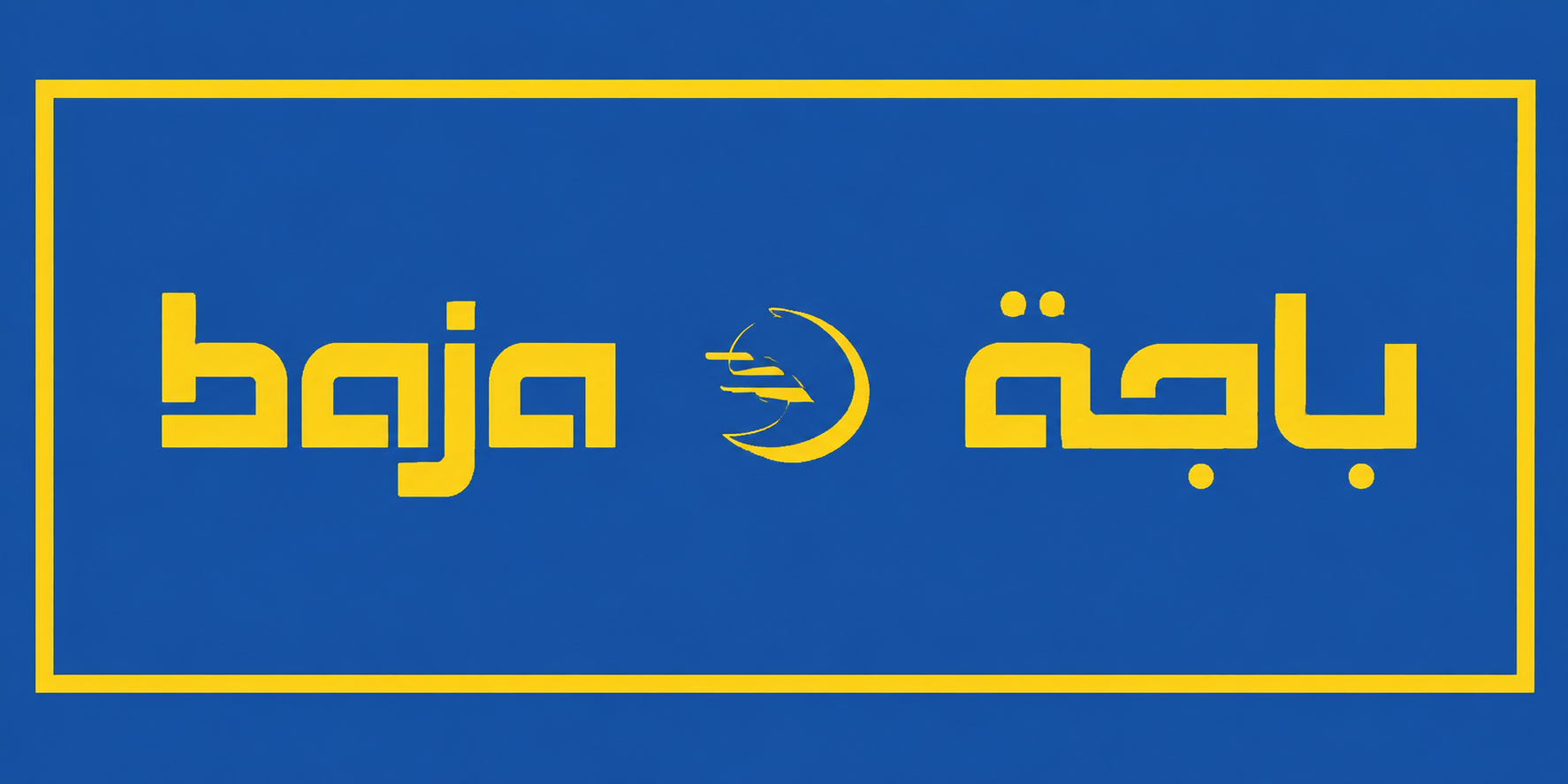 شركة باجة